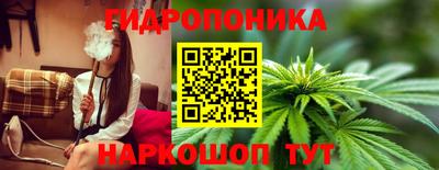 амф Сланцы