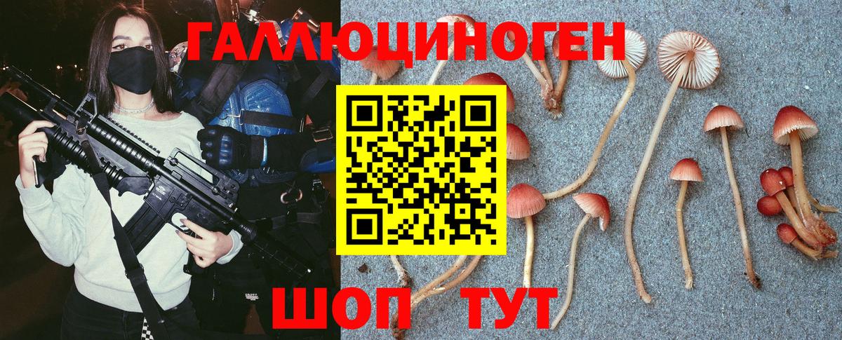 Приморско-Ахтарск  Псилоцибиновые грибы ЛСД  Вход с VPN 